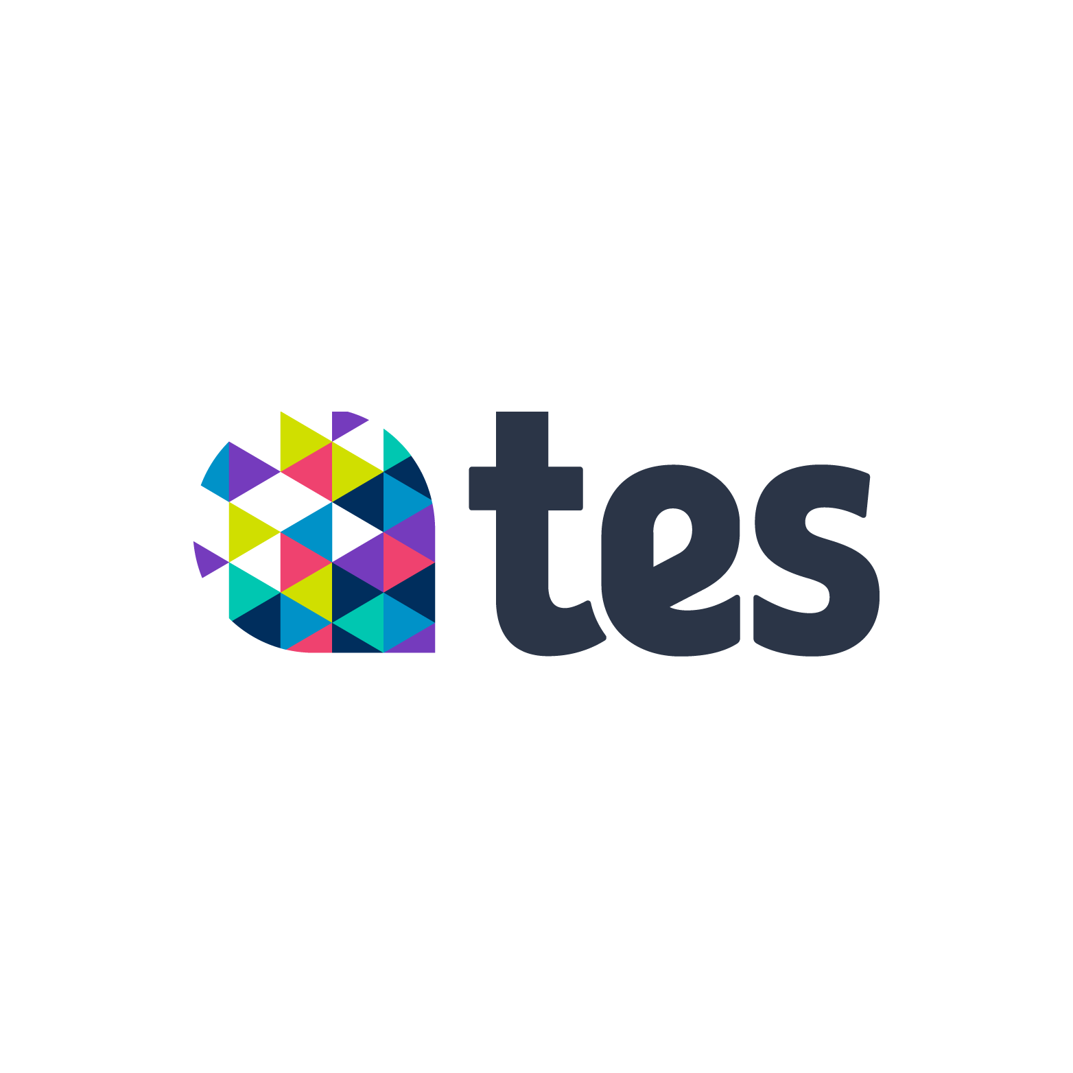 tes logo